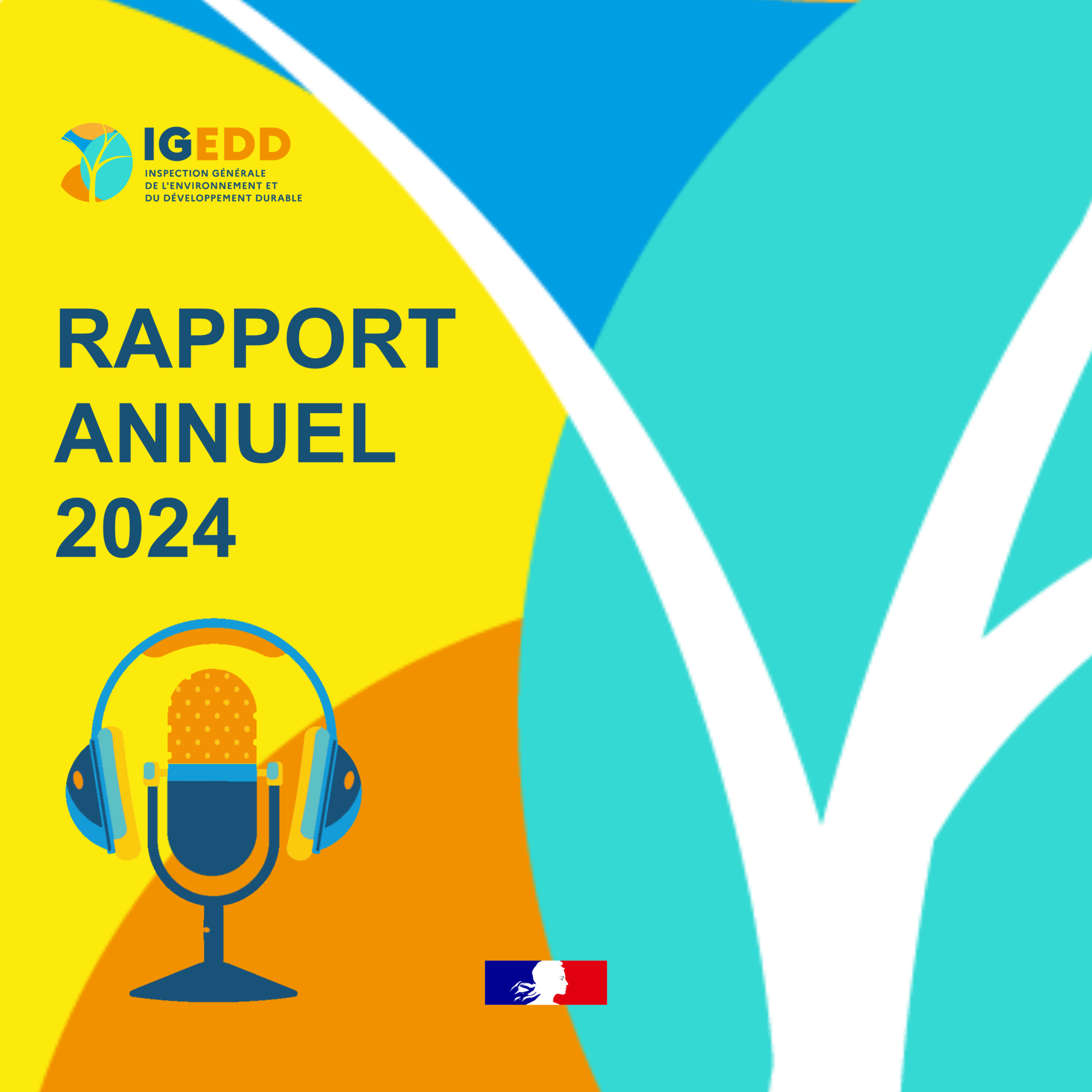 Spot promotion podcast IGEDD
